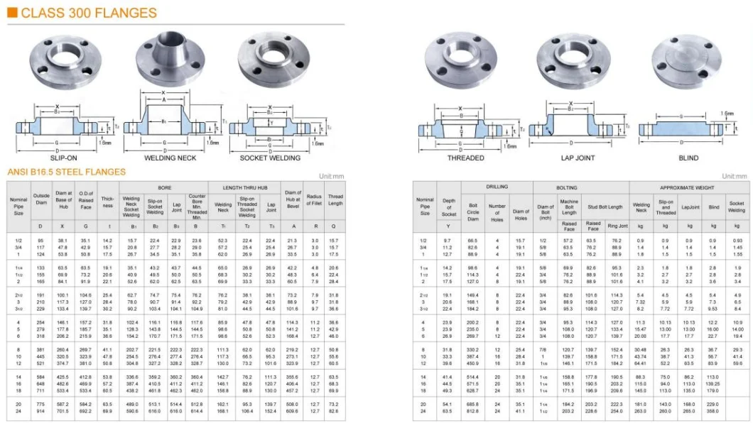 DN250 Class 150/ 300 Forged Flanges with The Best Price