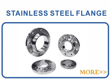 304L 316 RF 150# Forged ANSI B16.5 Stainless Steel Casting Slip on Flange